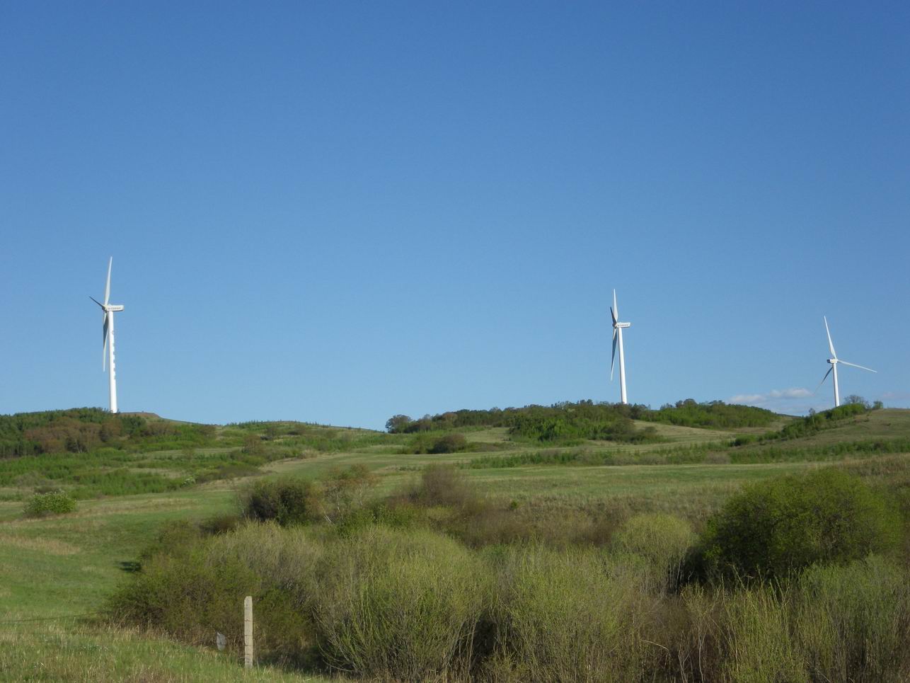 调整大小 IMGP0359.JPG