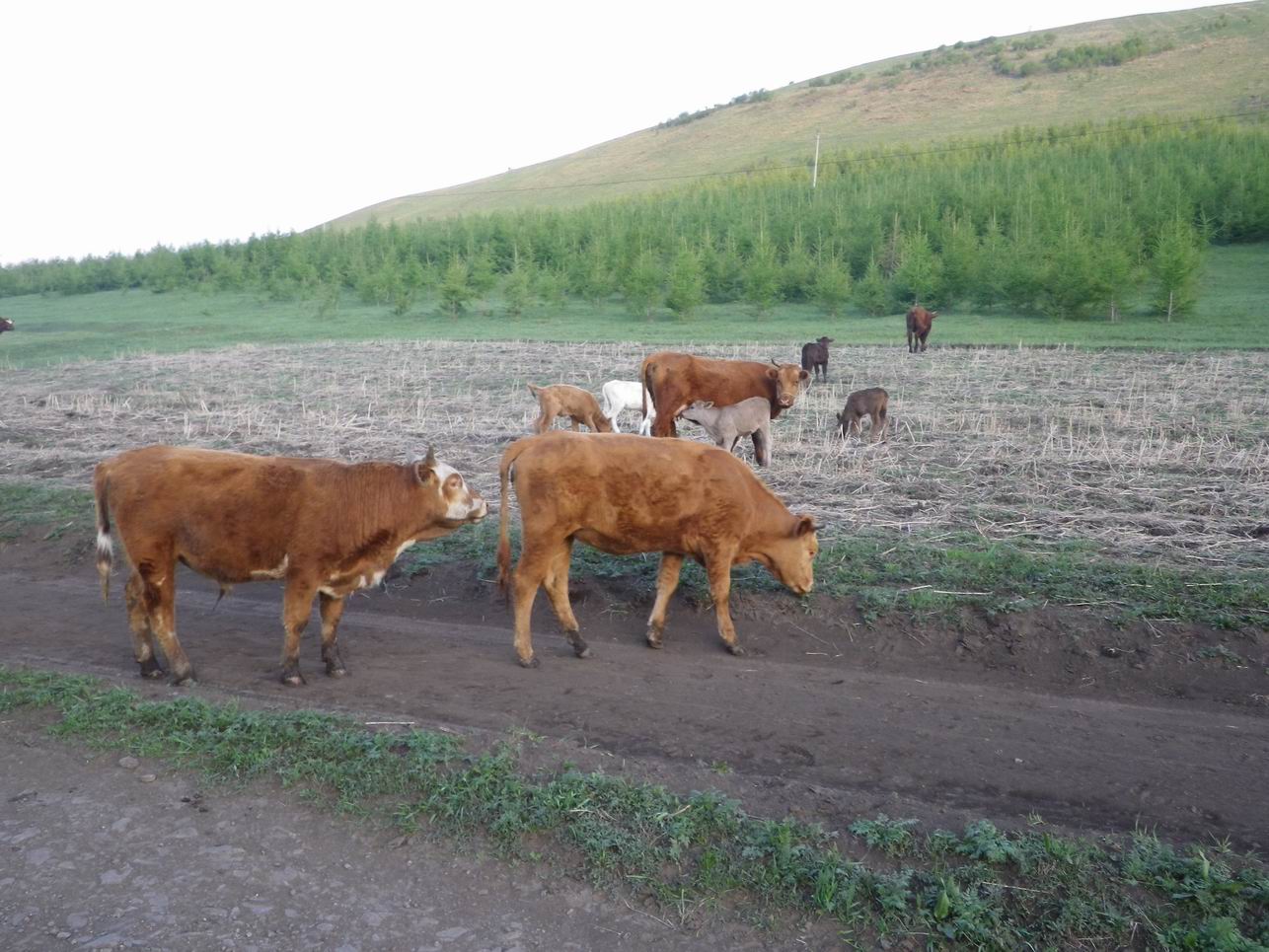 调整大小 IMGP0574.JPG