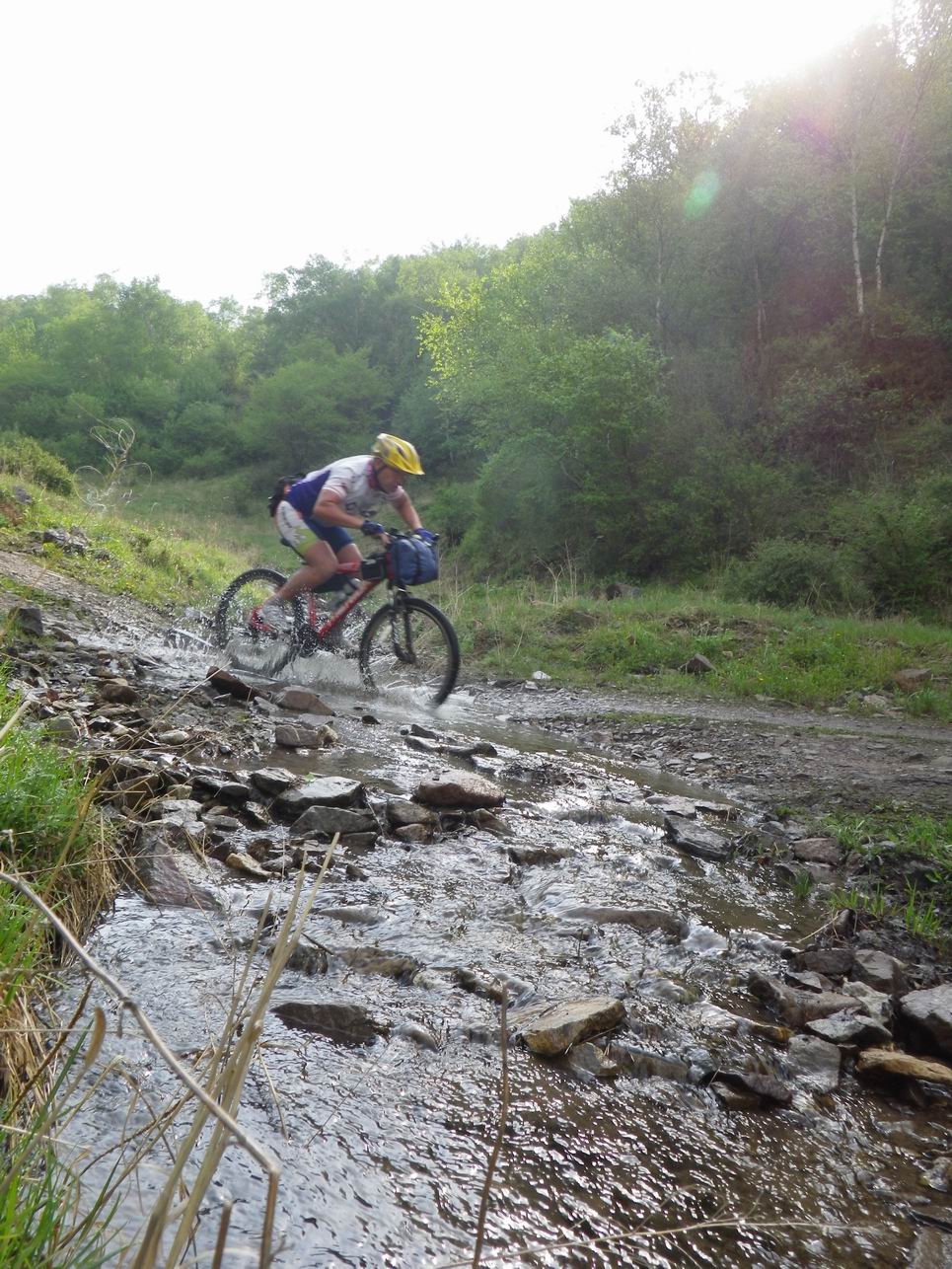 调整大小 IMGP0842.JPG