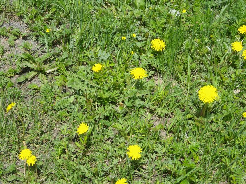 调整大小 IMGP0214.JPG