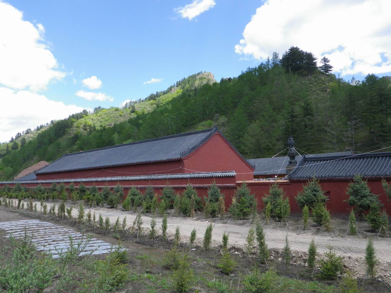 调整大小 IMGP0217.JPG