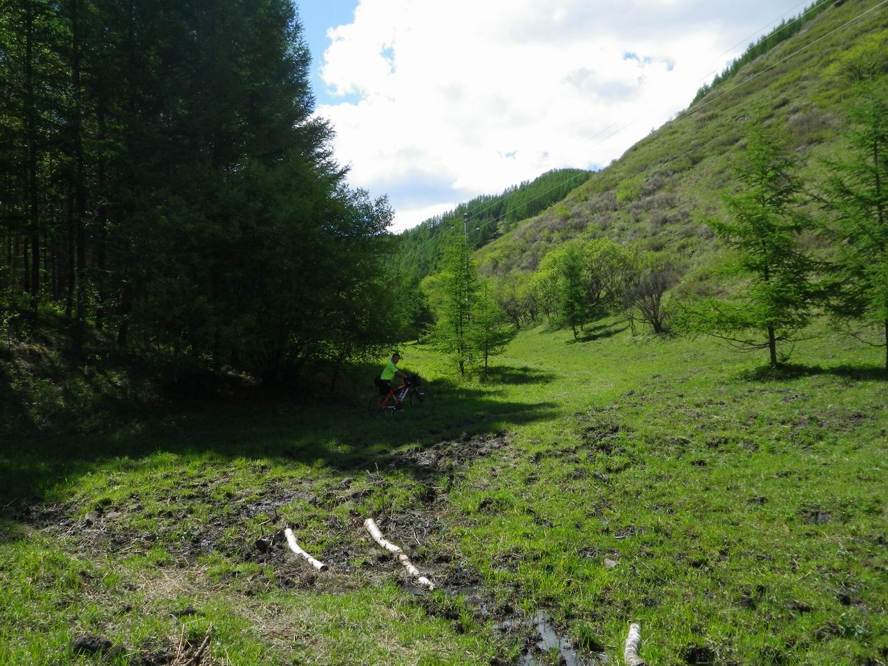 调整大小 IMGP0248.JPG