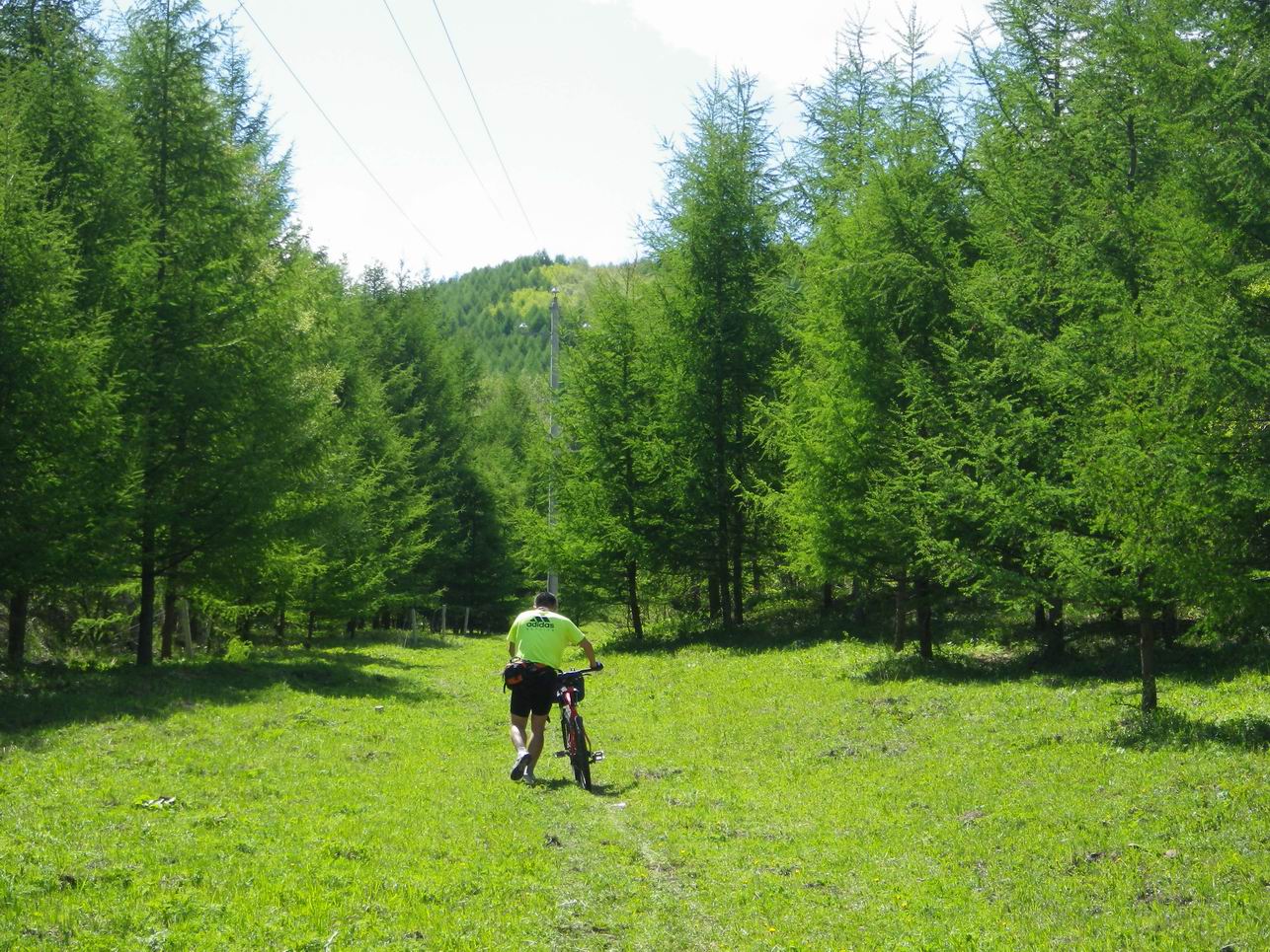 调整大小 IMGP0250.JPG