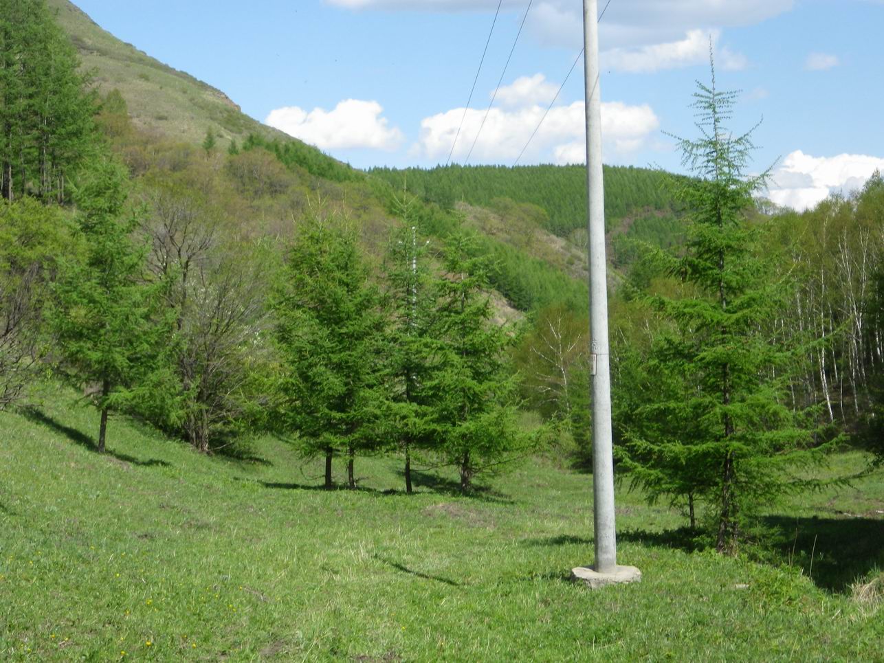 调整大小 IMGP0251.JPG