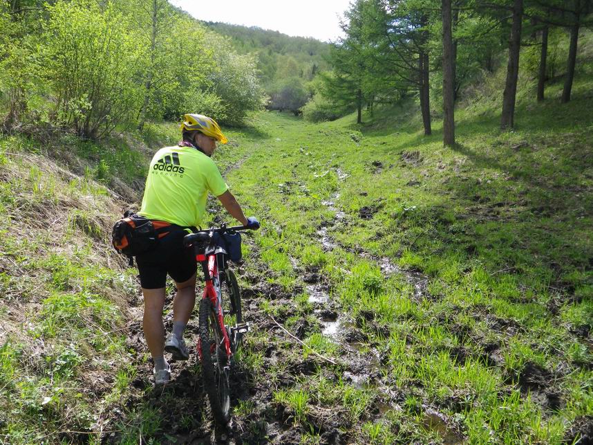 调整大小 IMGP0255.JPG