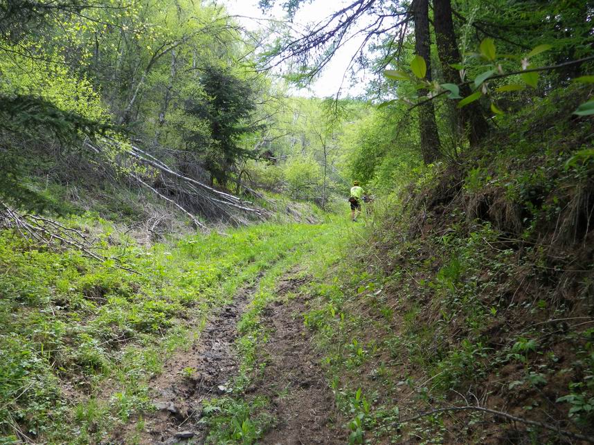 调整大小 IMGP0259.JPG