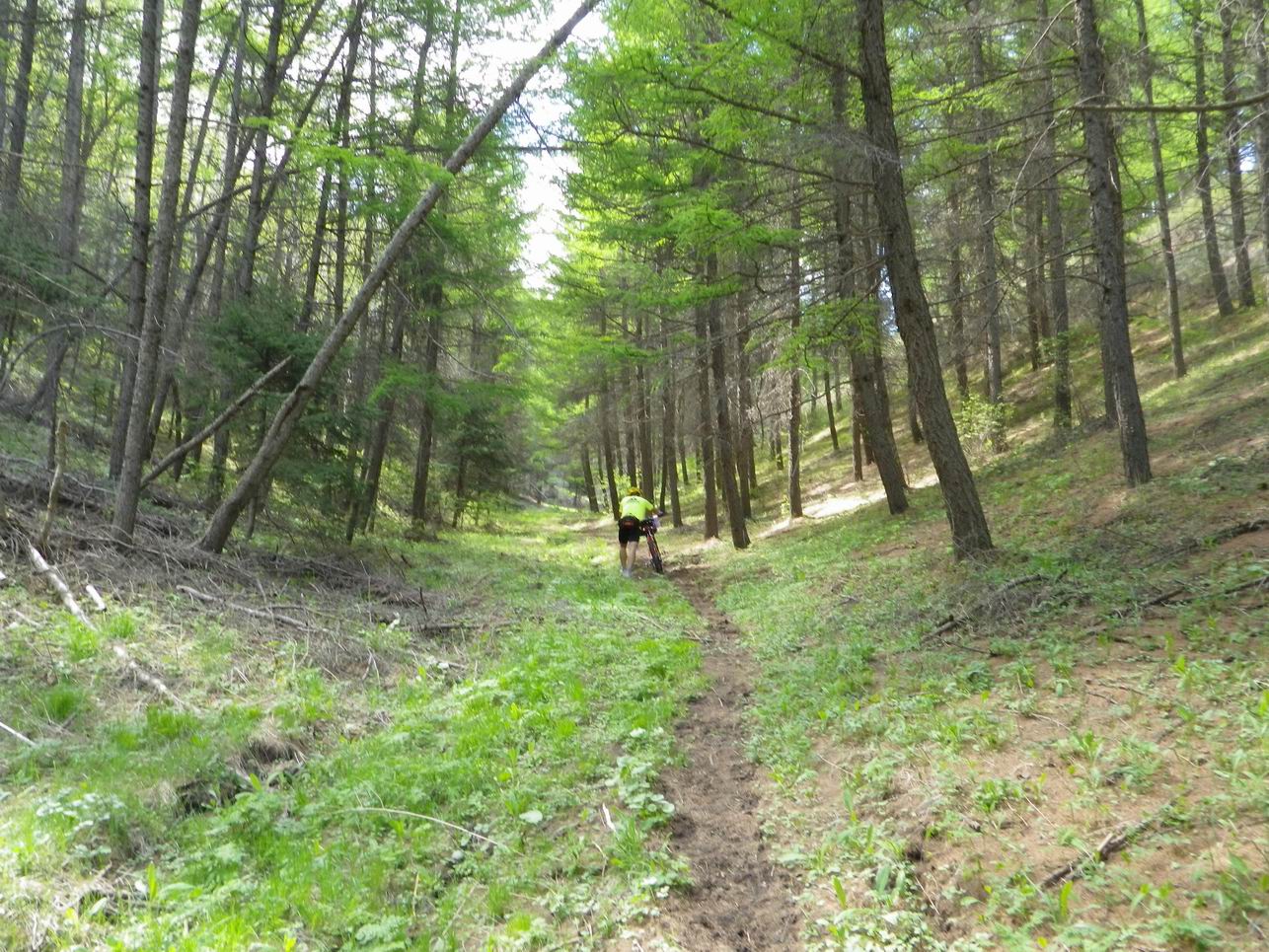 调整大小 IMGP0262.JPG