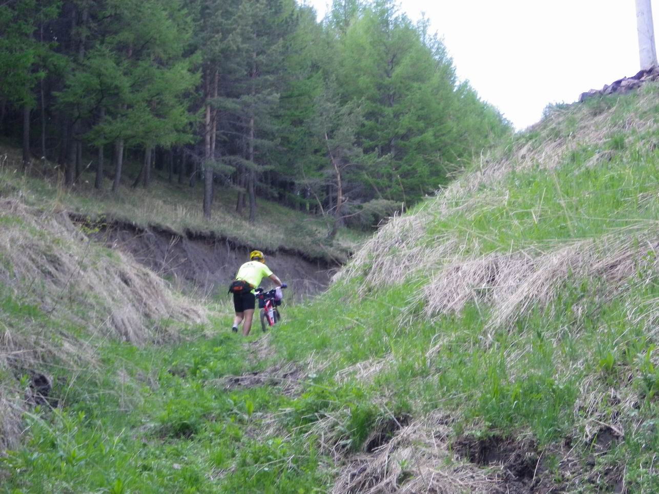 调整大小 IMGP0265.JPG