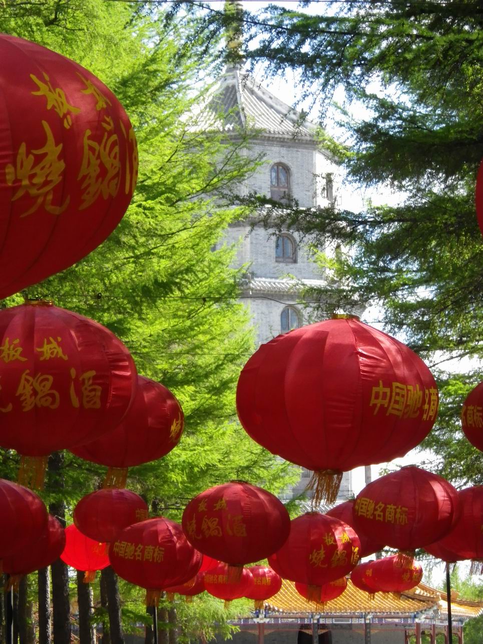 调整大小 IMGP0275.JPG