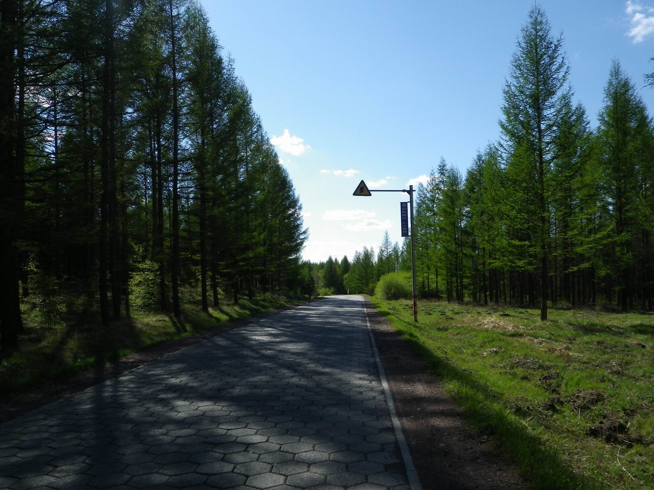 调整大小 IMGP0290.JPG