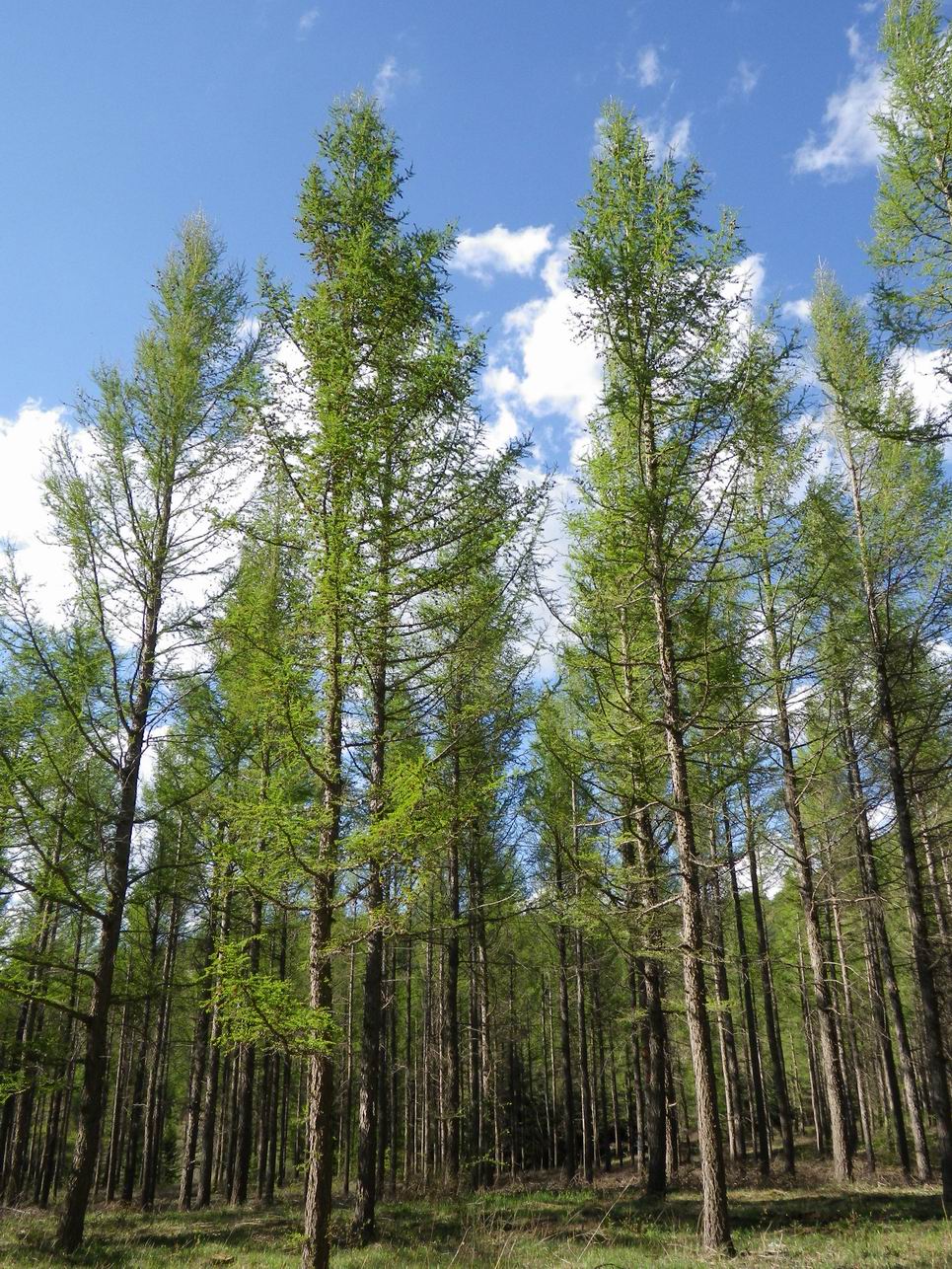 调整大小 IMGP0292.JPG