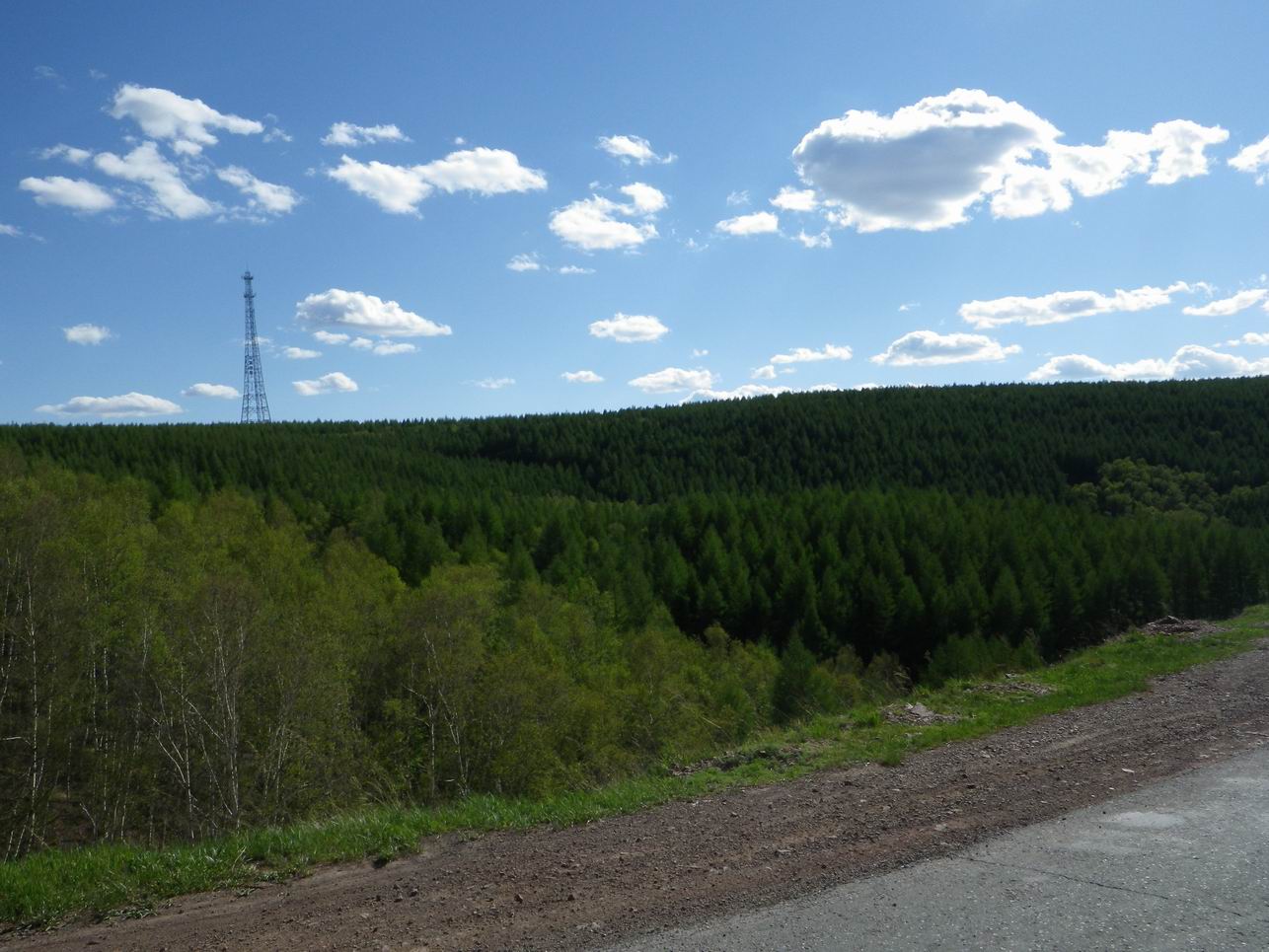 调整大小 IMGP0285.JPG