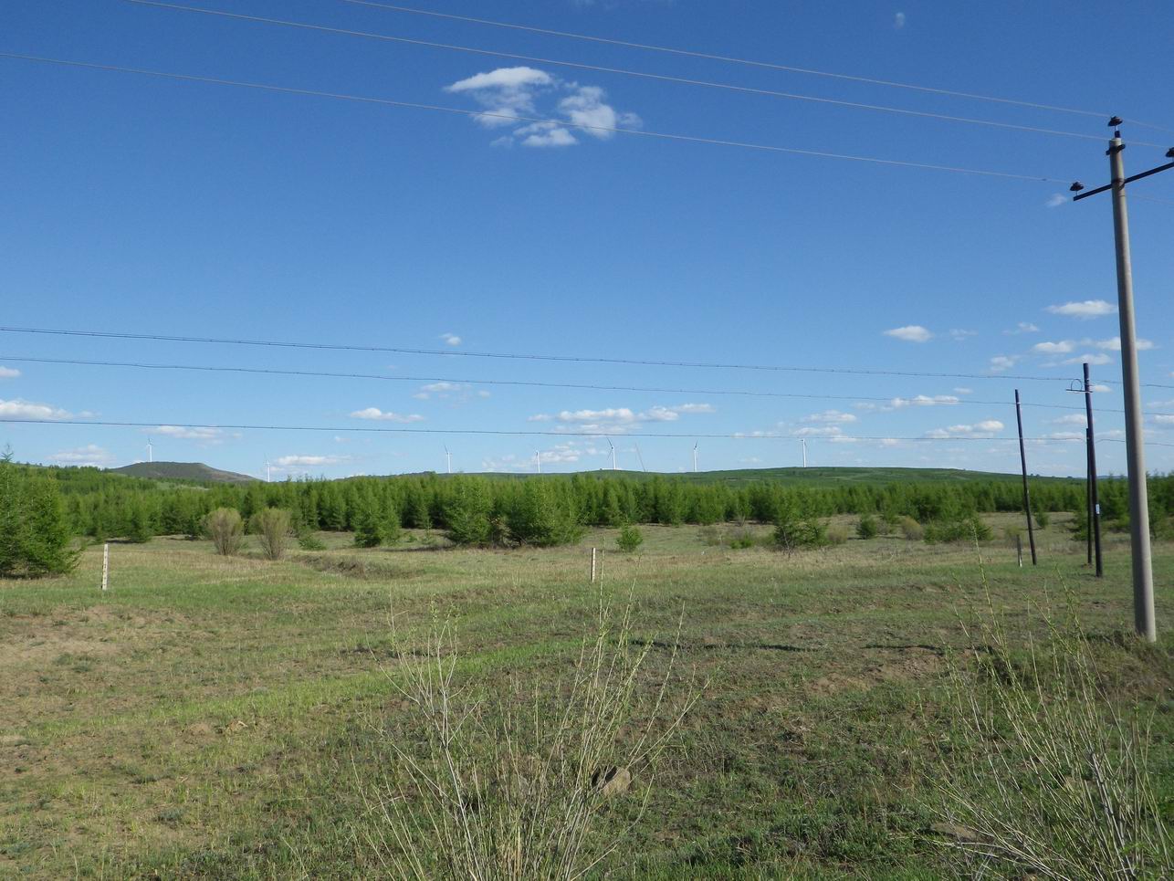 调整大小 IMGP0297.JPG