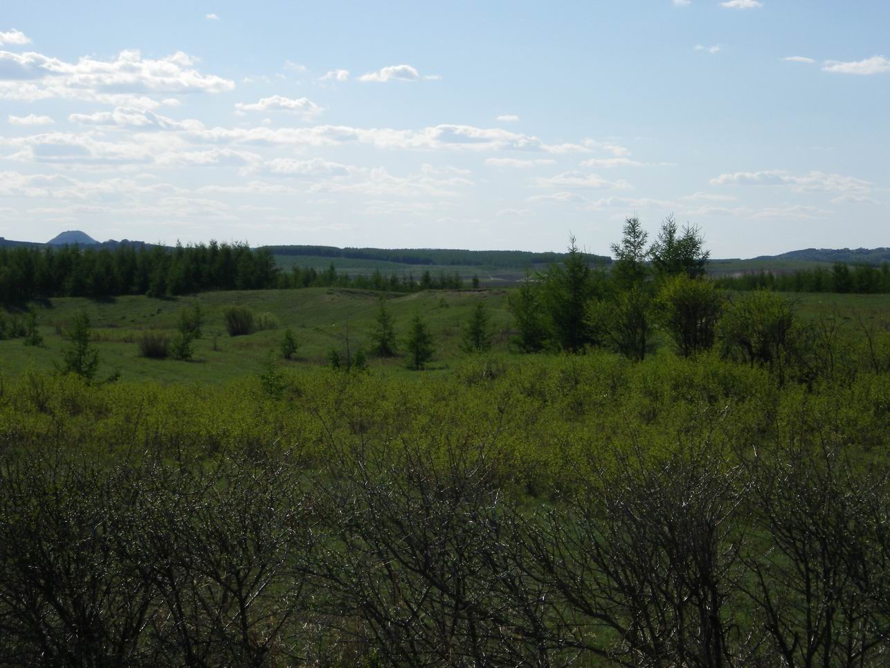 调整大小 IMGP0302.JPG