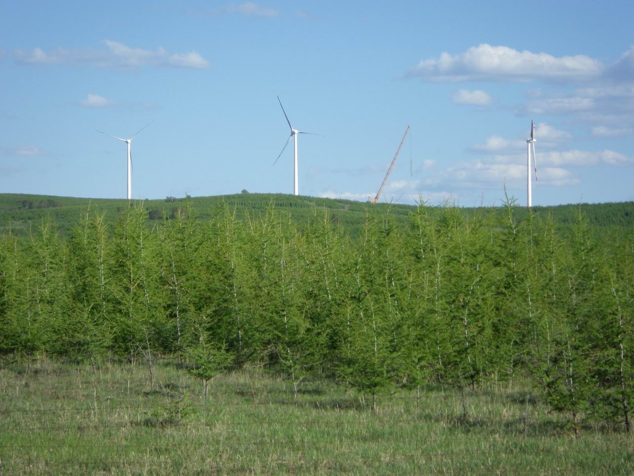 调整大小 IMGP0305.JPG