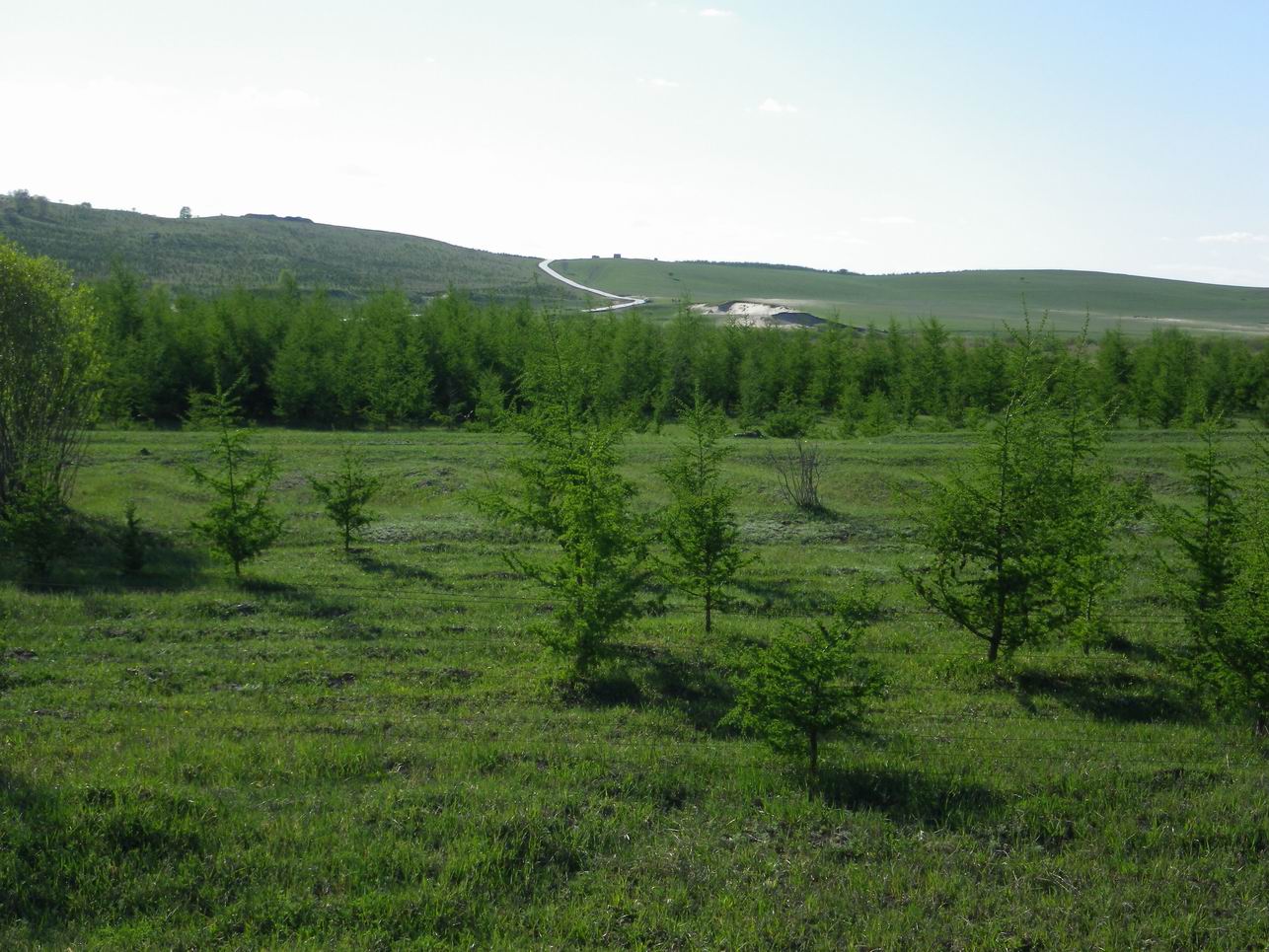 调整大小 IMGP0306.JPG