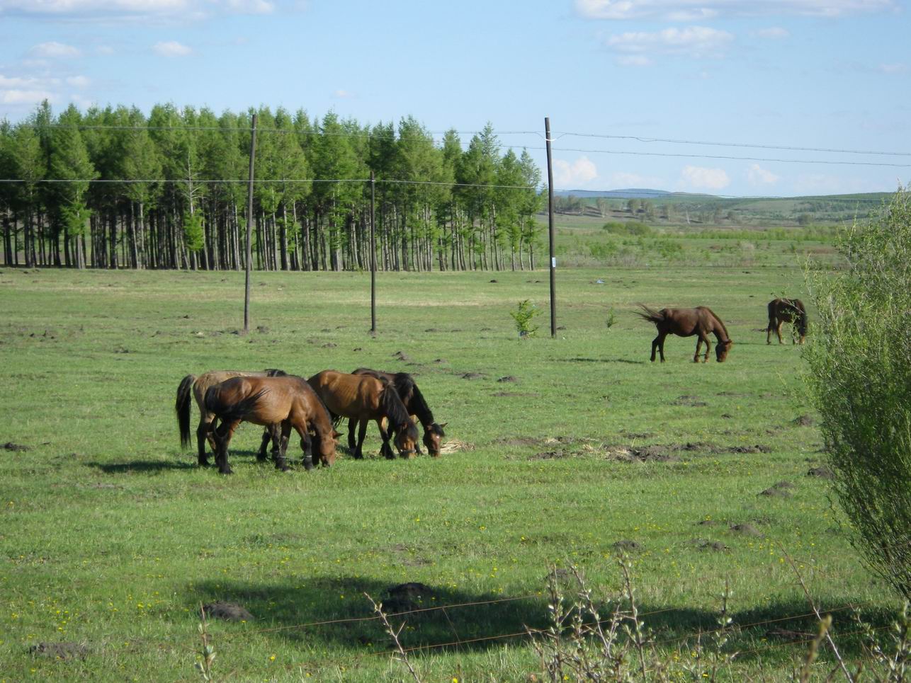 调整大小 IMGP0311.JPG