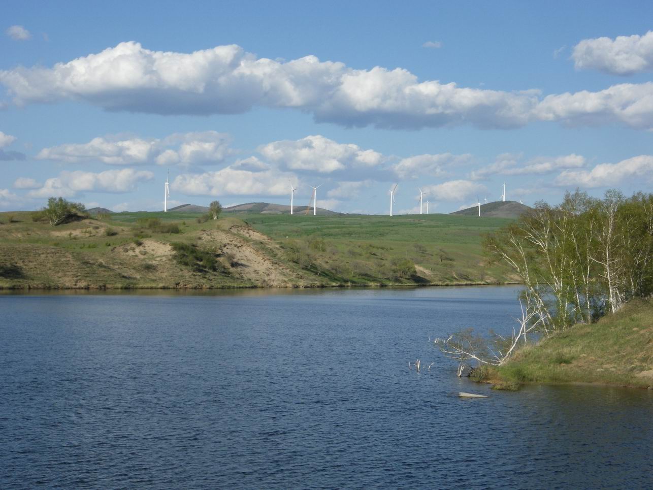 调整大小 IMGP0341.JPG