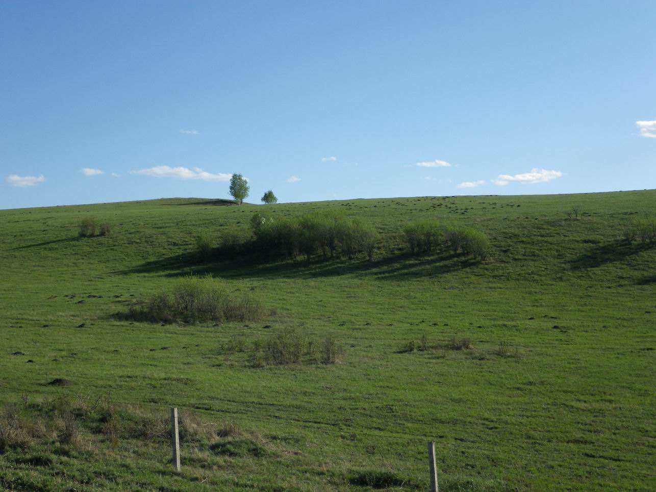 调整大小 IMGP0350.JPG