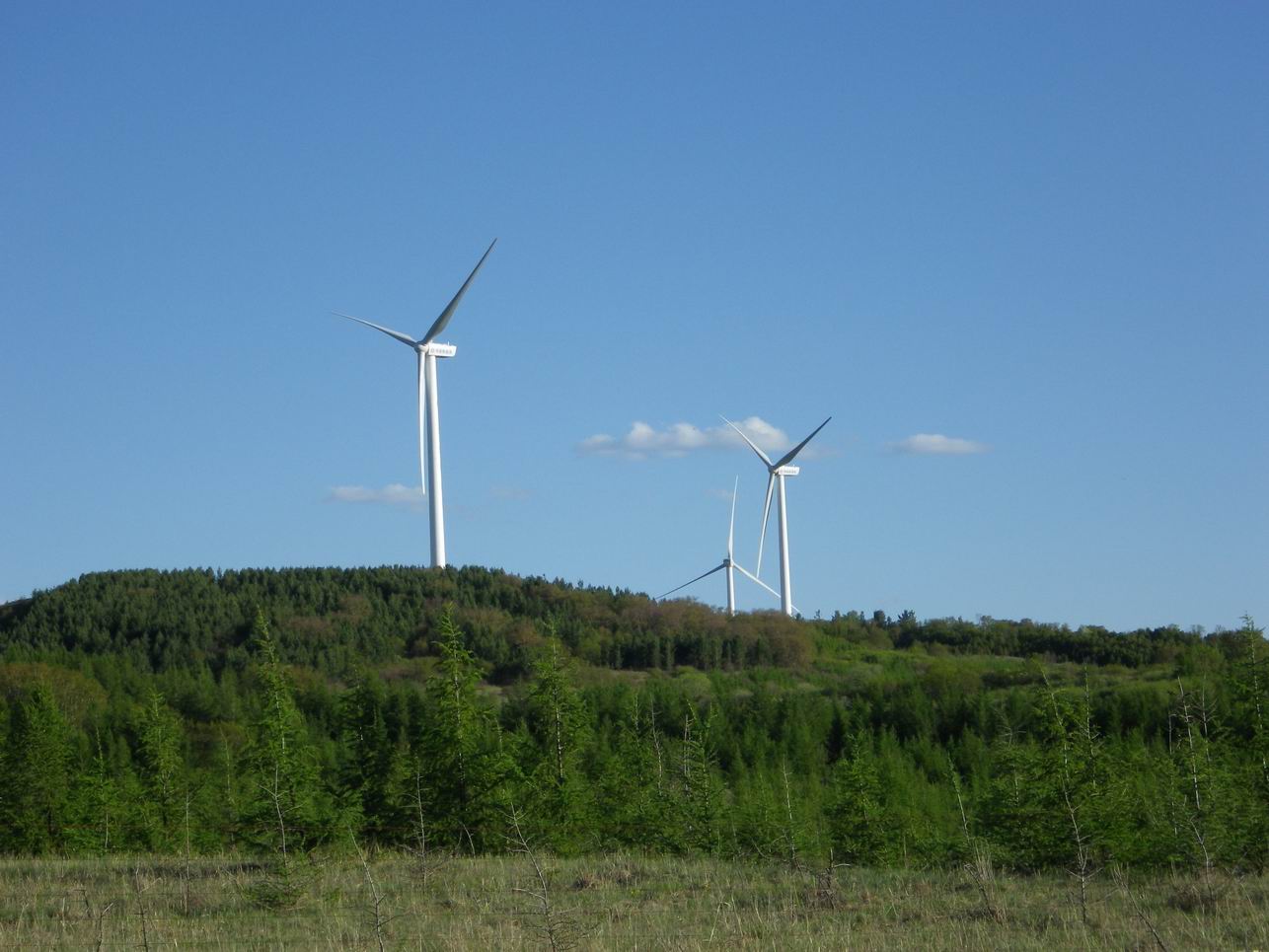 调整大小 IMGP0353.JPG