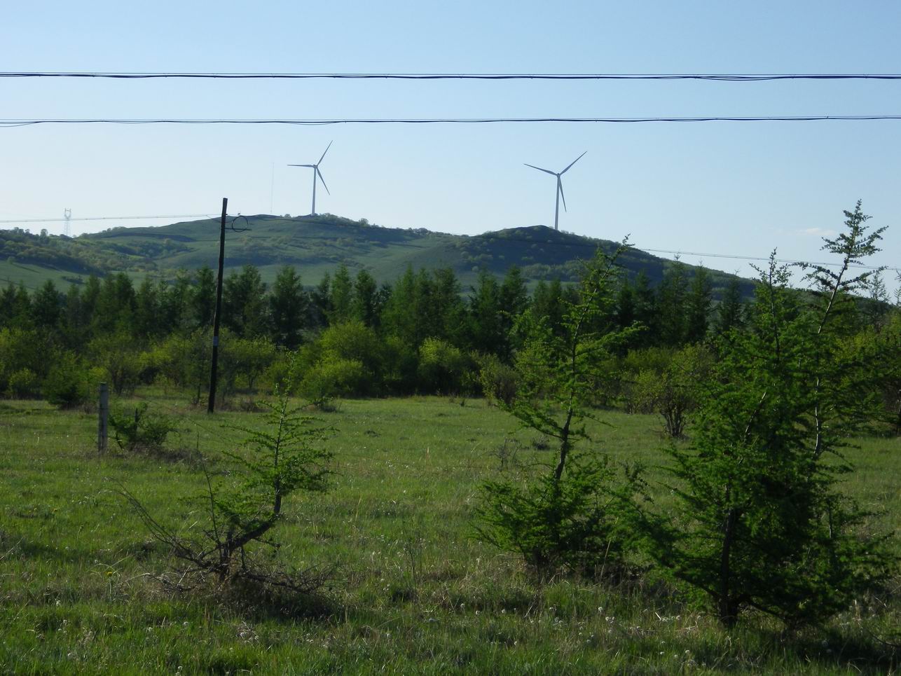 调整大小 IMGP0354.JPG