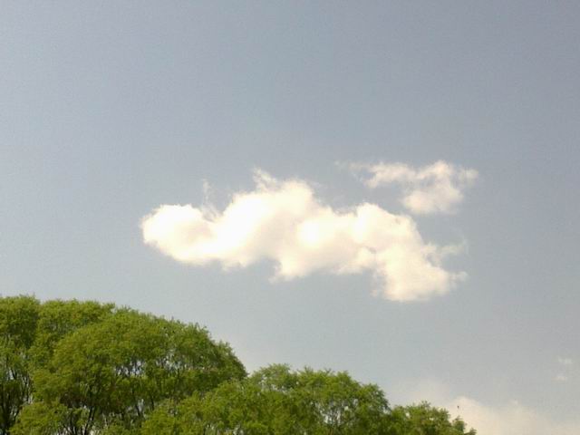 调整大小 20110414951.jpg