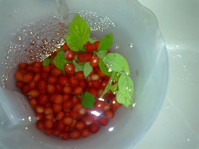 调整大小 201106071314.jpg