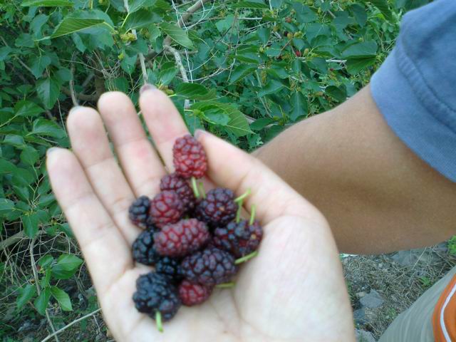 调整大小 201106091378.jpg