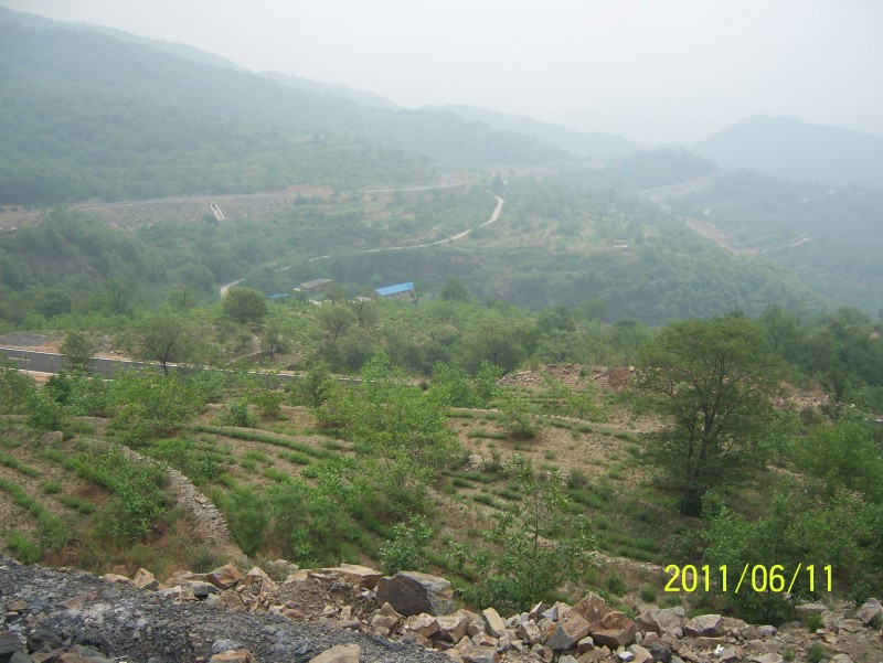 conew_照片 006.jpg