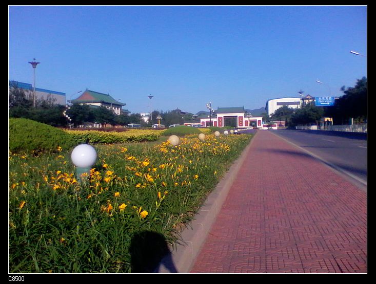 nEO_IMG_2011-06-12 06.27.34.jpg