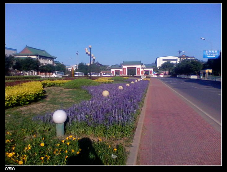 nEO_IMG_2011-06-12 06.28.27.jpg