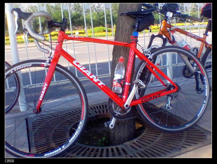 nEO_IMG_2011-06-12 07.07.42.jpg