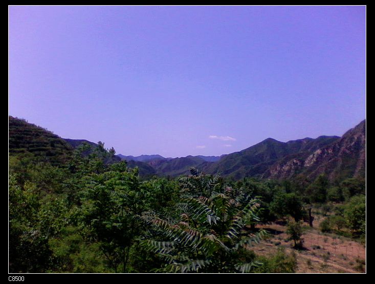 nEO_IMG_2011-06-12 11.10.09.jpg