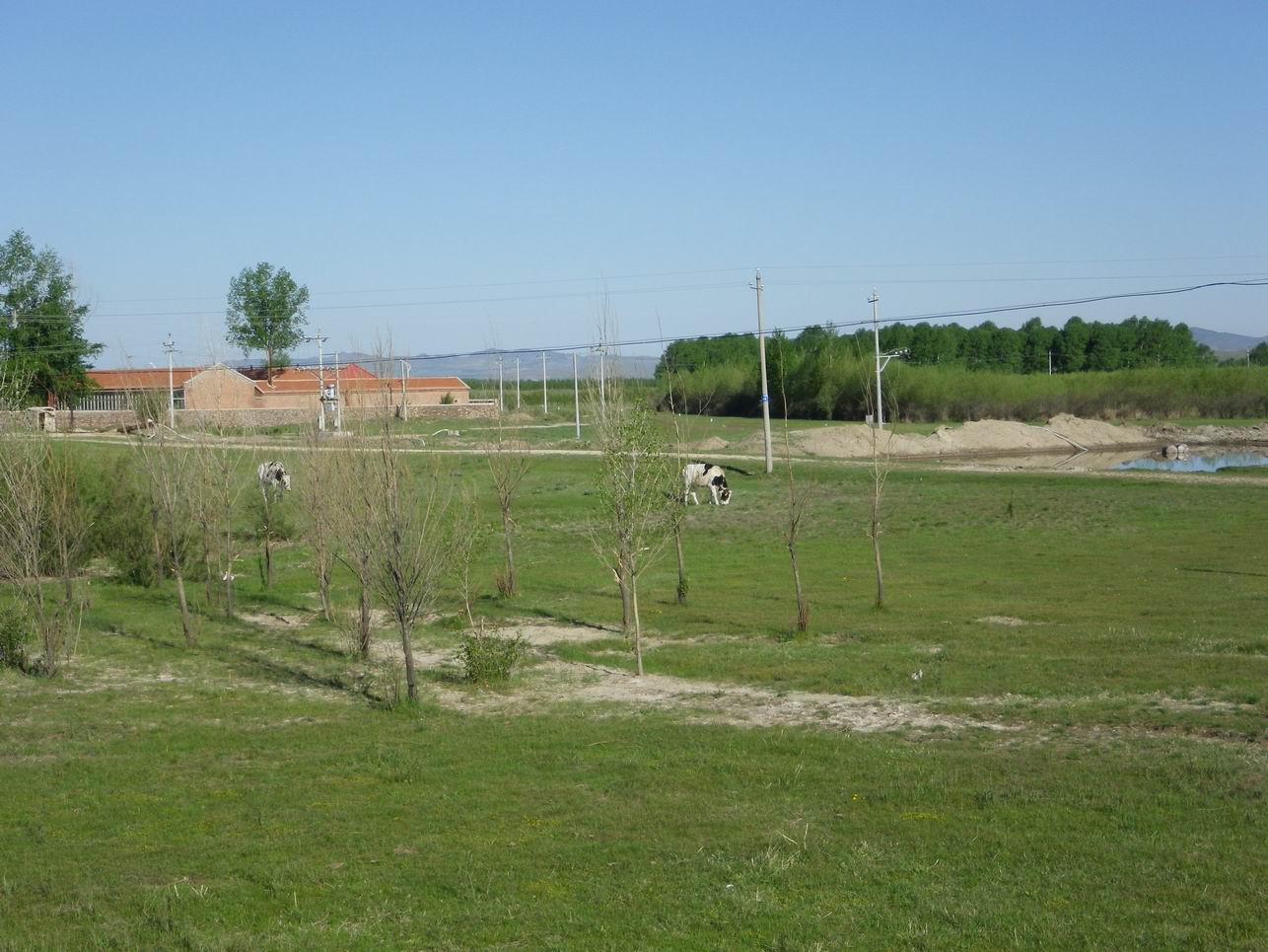 调整大小 IMGP0392.JPG