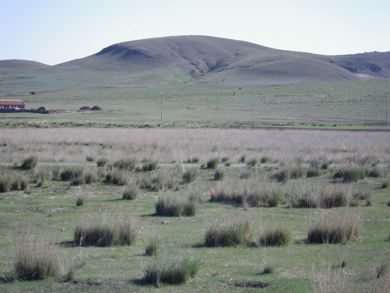 调整大小 IMGP0404.JPG