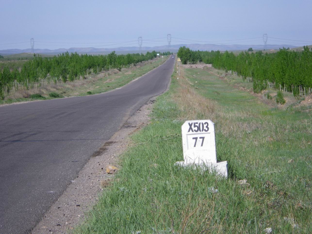 调整大小 IMGP0408.JPG