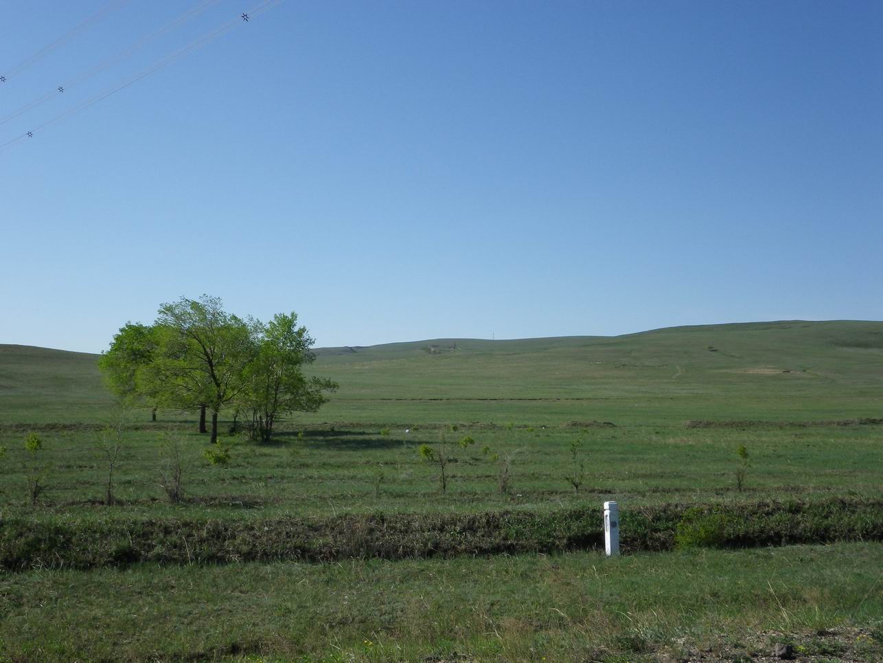 调整大小 IMGP0415.JPG