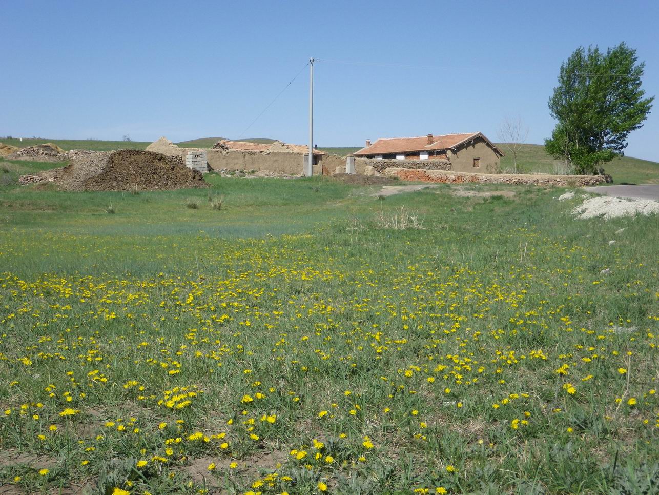 调整大小 IMGP0435.JPG