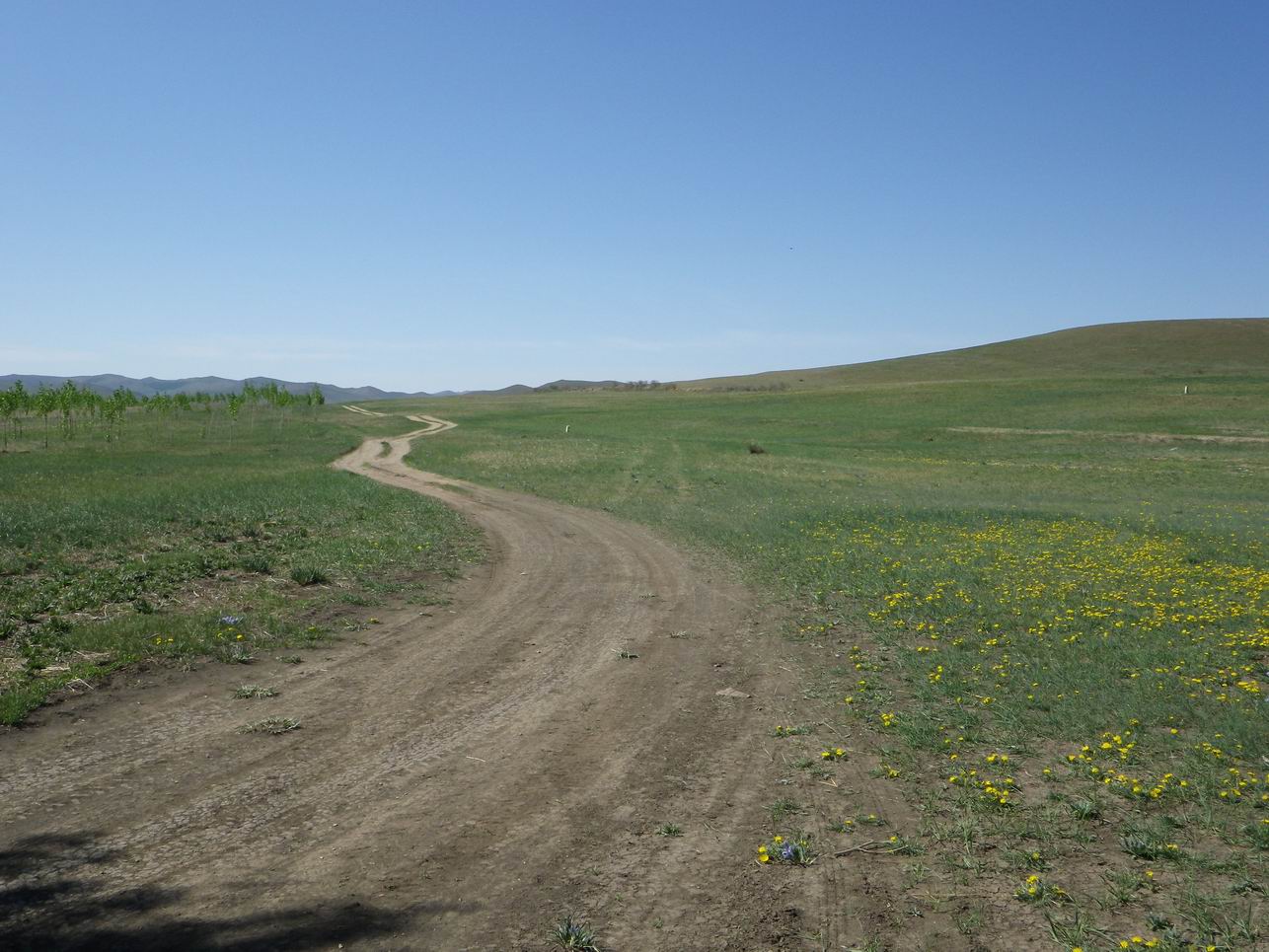 调整大小 IMGP0436.JPG