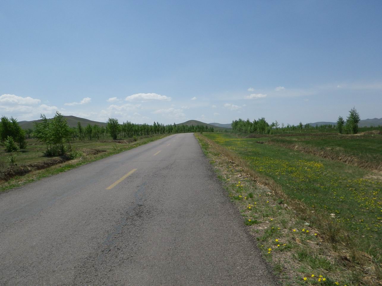 调整大小 IMGP0446.JPG