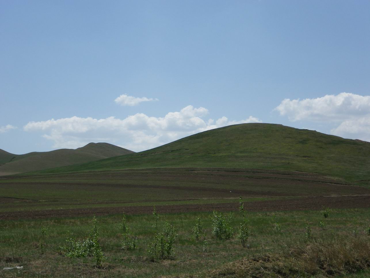 调整大小 IMGP0449.JPG