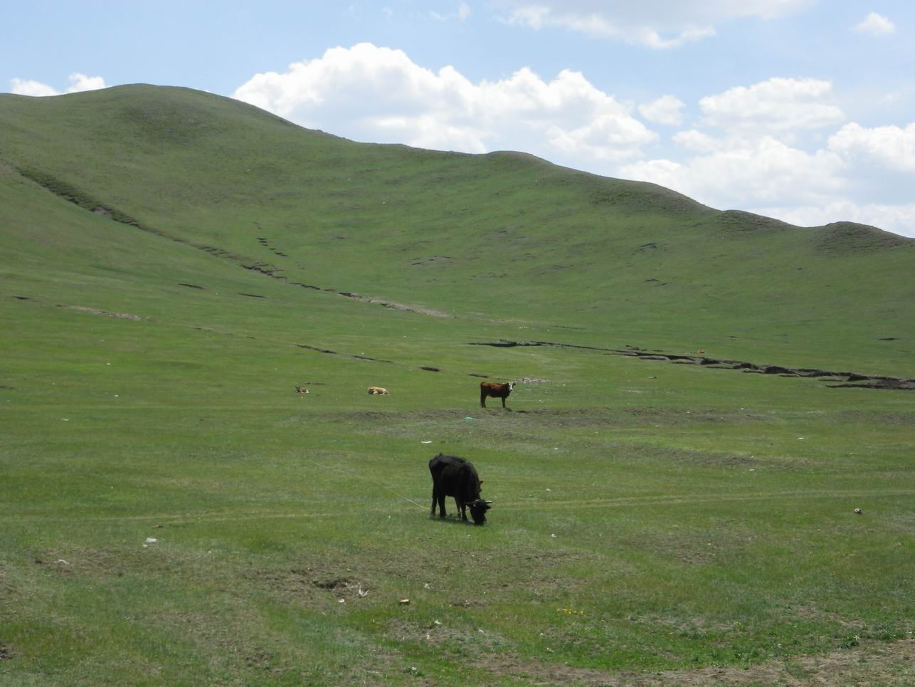 调整大小 IMGP0470.JPG