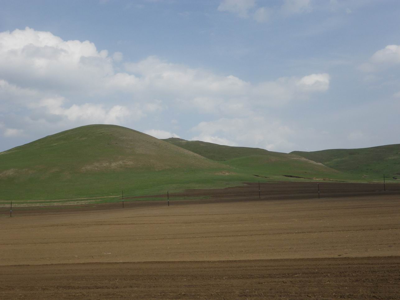 调整大小 IMGP0485.JPG