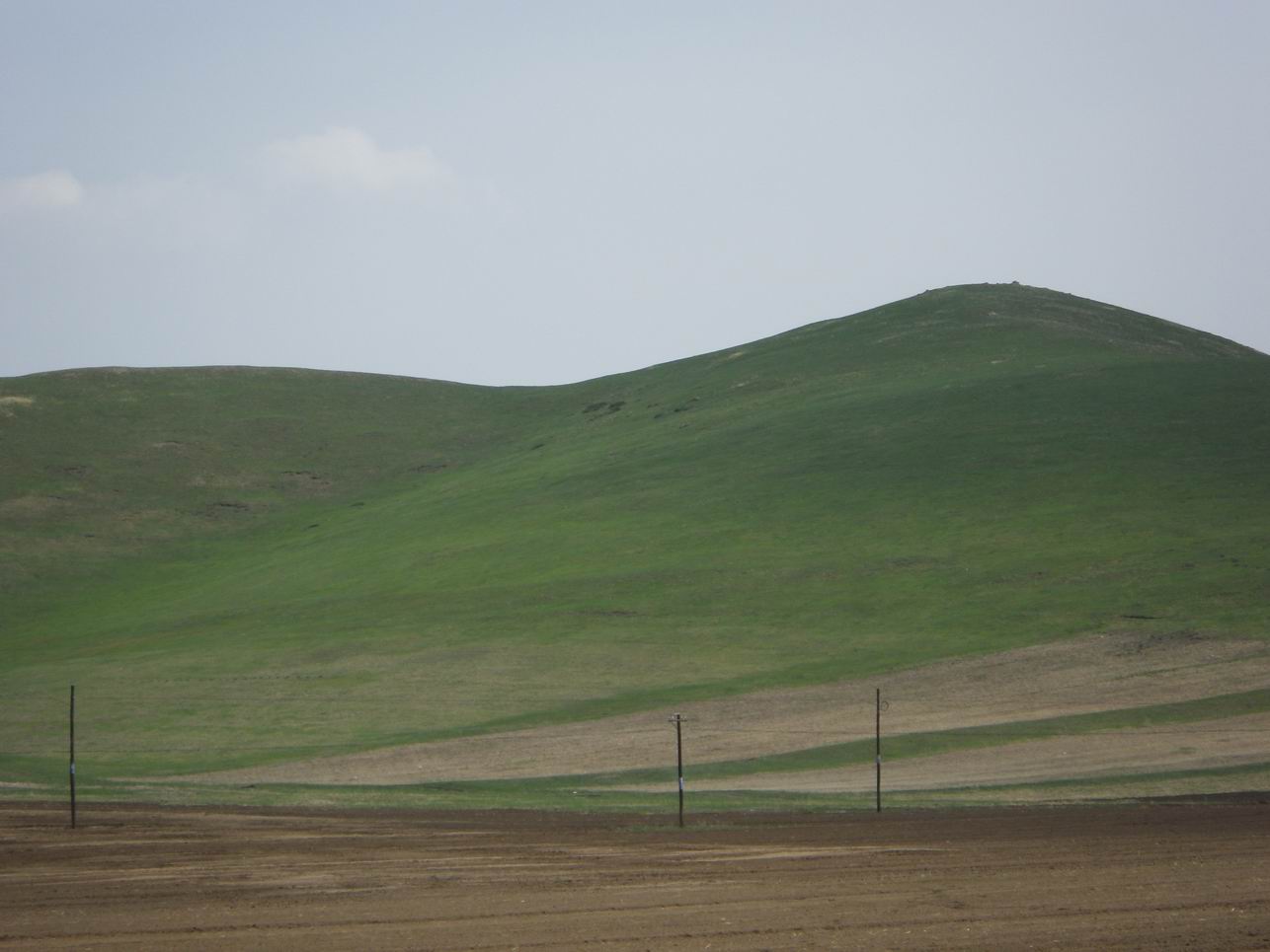 调整大小 IMGP0487.JPG