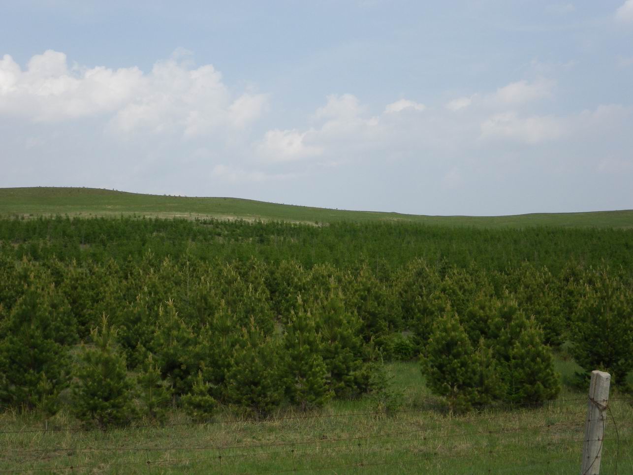 调整大小 IMGP0507.JPG