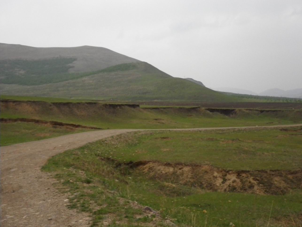 调整大小 IMGP0545.JPG