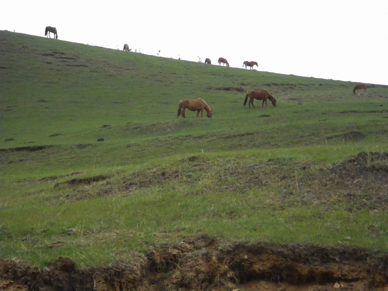 调整大小 IMGP0549.JPG