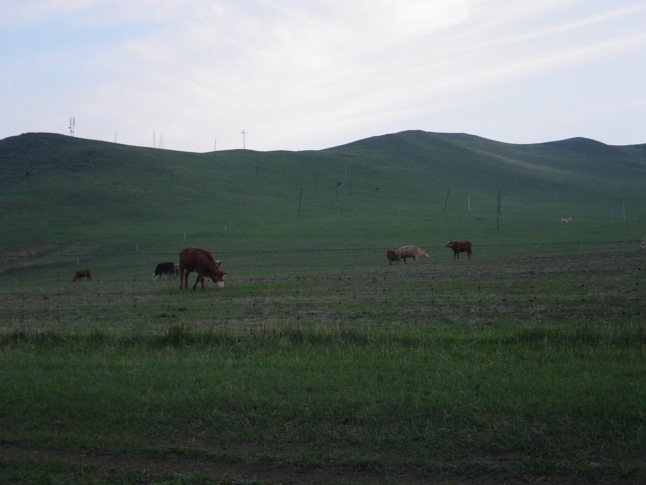 调整大小 IMGP0561.JPG