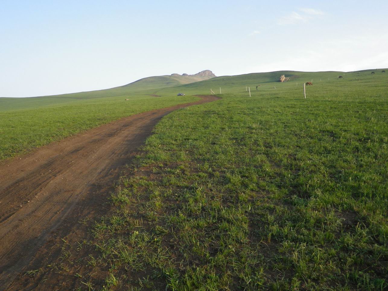 调整大小 IMGP0614.JPG