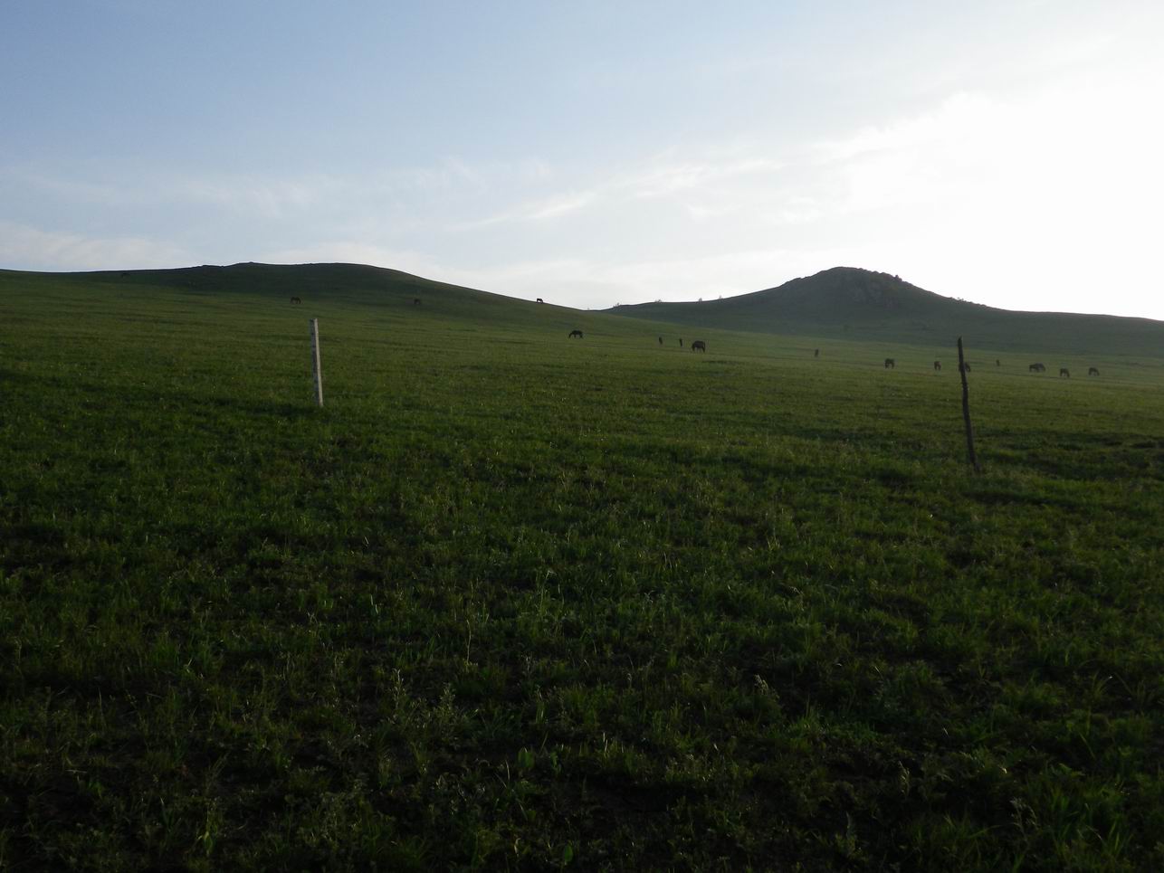 调整大小 IMGP0615.JPG